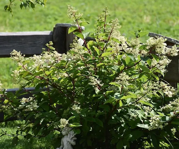 Appartamento Haus Marco Neustift im Stubaital