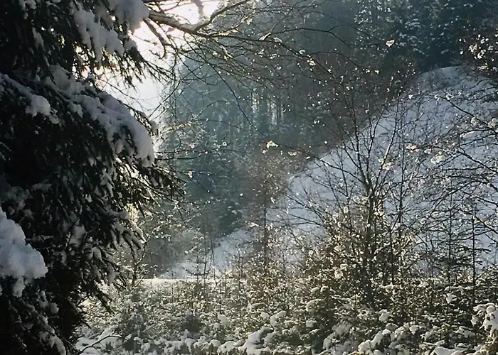 Haus Marco Apartment Neustift im Stubaital