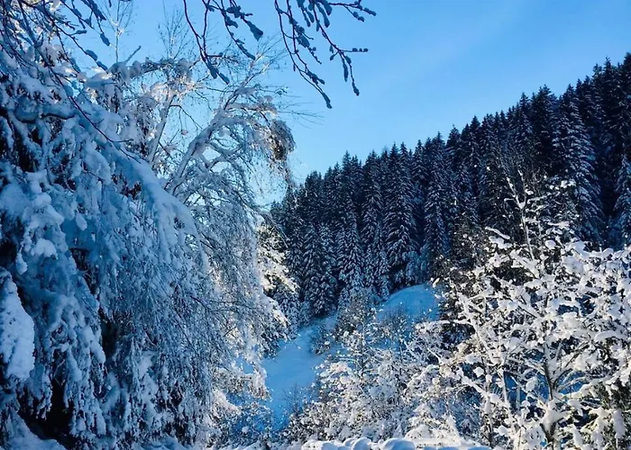 Haus Marco Neustift im Stubaital