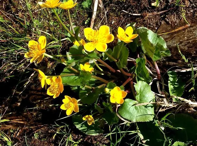 Haus Marco * Neustift im Stubaital